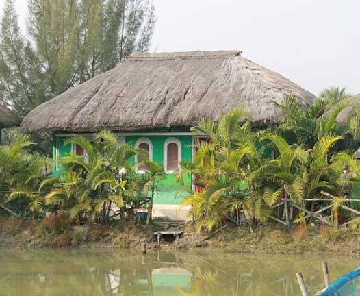 tigerland resort