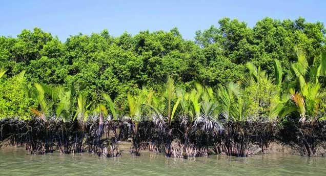 sunderbans tour